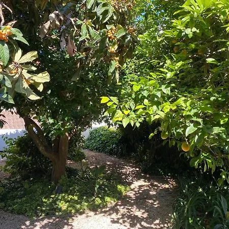 Jardim Mendonça By Rpg Properties Appartement Lagos
